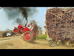 Great and Powerful Belarus Tractors to get sugarcane-filled trailer out of the field