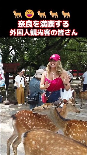 😄なんて素晴らしい国なの！？外国人も奈良公園で鹿と仲良し！奈良で鹿と交流する外国人観光客 #外国人の反応 #外国人観光客 #奈良 #shorts