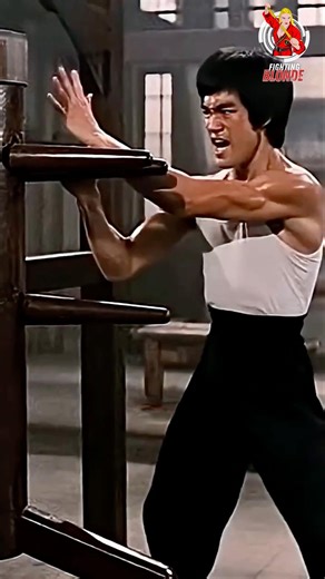 Bruce Lee's Jeet Kune Do Technique