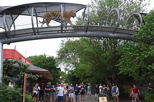 Pa. zoo named one of the top 26 animal parks in the United States