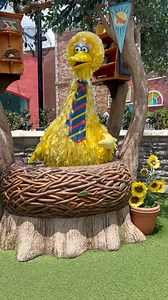 95K views · 10K reactions | Story time with Big Bird | CookingwithSammy | Facebook