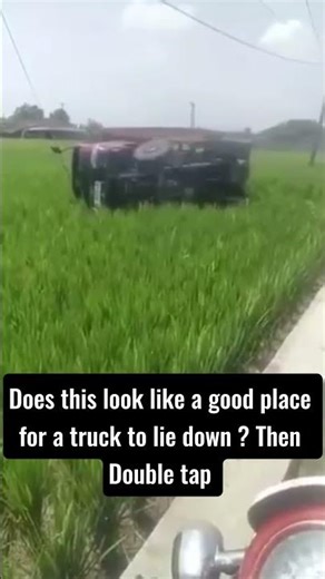 Even the truck gave up and went full farm mode