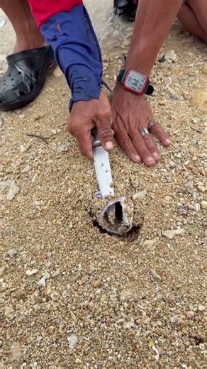 Unbelievable Beach Discovery! 😱 What’s Hidden Inside This Strange Object?