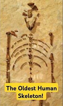 Lucy: The Oldest Human Skeleton Ever Found! #lucy #archaeology