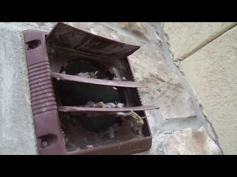 How To Clean Out a Dryer Vent with a Leaf Blower!!
