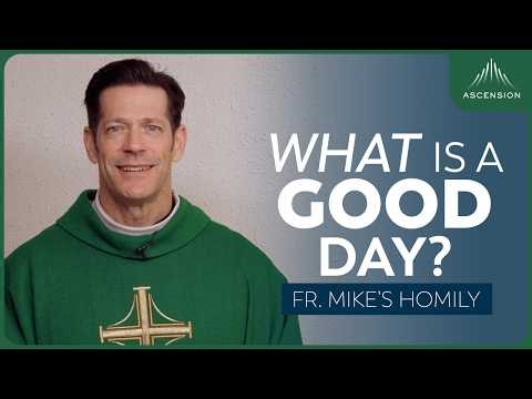 "No Bad Days" | 15th Sunday in Ordinary Time (Fr. Mike's Homily) #sundayhomily