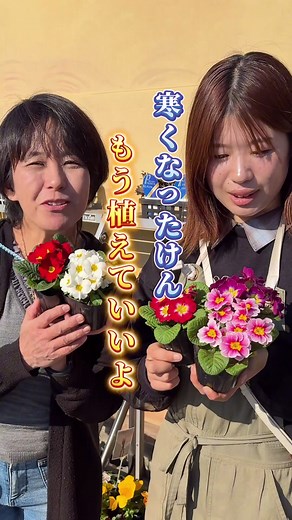 冬にぴったり！ジュリアンの魅力をご紹介