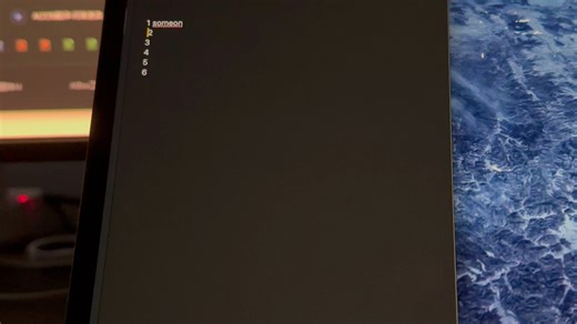 MacBook 系统简拼输入法bug求助