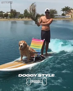 Dogs are so easily entertained 😂😂 | LADbible