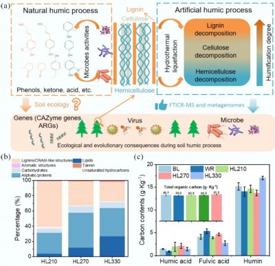 From Straw to Soil Signals: Humic Substances Drive Microbial Metabolism and Antibiotic Resistance | Newswise
