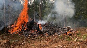 Crews contain brush fire outside Colton