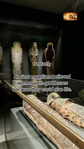 “Ancient Egyptians believed women were literal goddesses—here’s why!”#funfacts #shorts #history