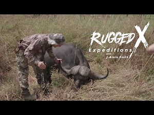 Cape Buffalo - The Biggest One So Far