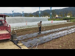 China's rural Village walk, the real life of poor people in remote rural area.