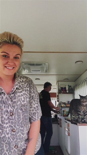 Cat Boss: New Music from Laura Frank Coming Soon!