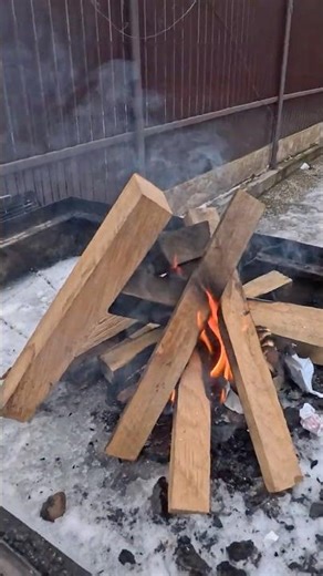 Barbecue in Romania 🇷🇴 #shorts