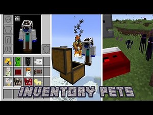 Minecraft mod showcase: Inventory Pets Forge