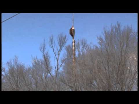 JCP&L Helicopter Aerial Saw