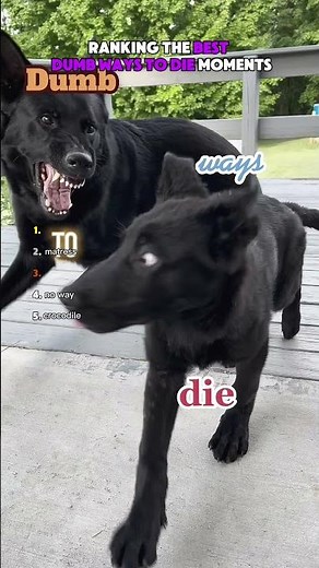 Ranking Dumb ways to die trend🤣🤣🤣 DONT CHECK THE SOUND😭😭