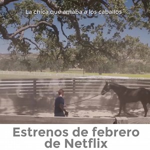 Aquí les dejamos los estrenos de Netflix en febrero 2020 | unocero.com
