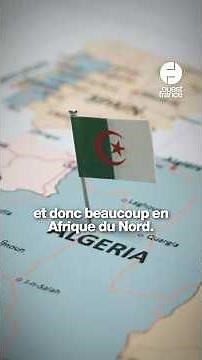 CAN 2025. Pourquoi les joueurs de l'équipe d'Algérie sont surnommés « les Fennecs » ?