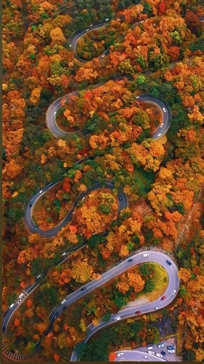 1.6K views · 16 reactions | How many curves can you handle? ⠀...