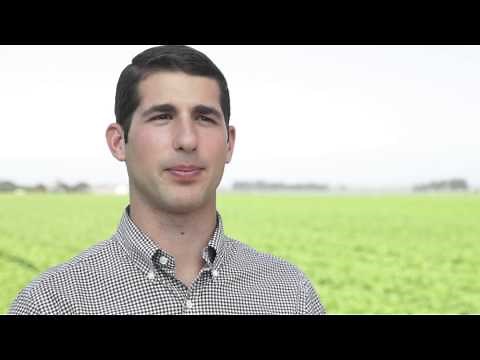 Taylor Farms Automated Harvesting