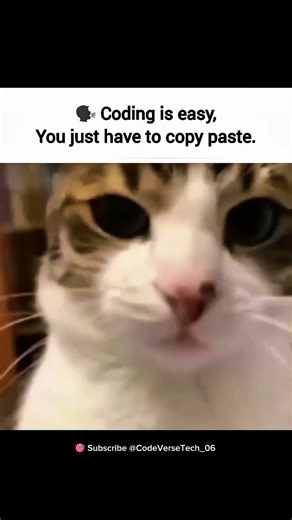 “When you realize coding = copy + paste 😂💻”