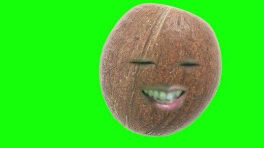 見つかりました