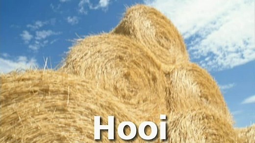 Baby Einstein™: Baby MacDonald™ - Een dag op de boerderij (Dutch 2004)