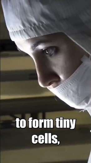 How TV Screens Are Built Pixel by Pixel