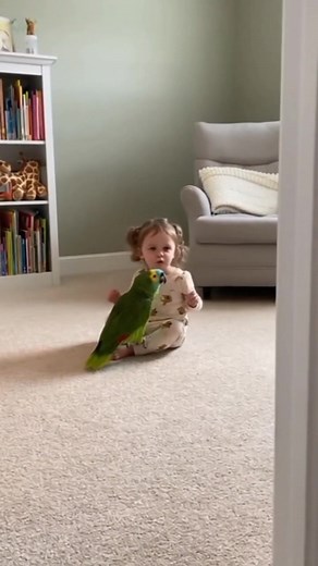My Toddler Lectures Parrot About Bad Words - "That's Manipulation!" 😂🦜02312 This is COMEDY GOLD! 😂💕 My toddler is sitting with our parrot having the most SERIOUS conversation! 🦜 "Polly, we need to discuss your language. You said a BAD word when Grandma was here!" When the parrot says "CRACKER!" my toddler goes "No | Usa Pet Fun