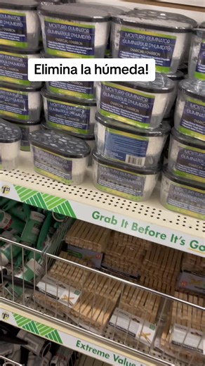 Effective Ways to Combat Humidity in Your Home