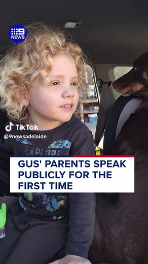 Search for Missing Four-Year-Old Gus Lamont Continues