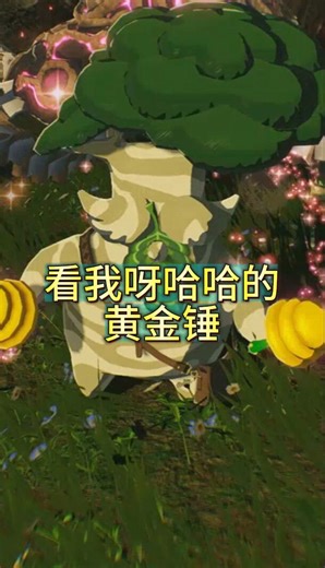 看我呀哈哈的黄金锤 -《塞尔达无双 灾厄启示录》