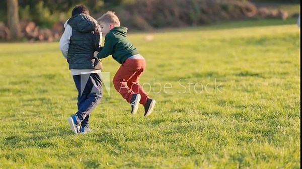 Two young brothers playfully wrestling in a green park