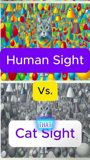 How Animals See the World 👀🦁 | Animal Vision Explained #Shorts #Animals