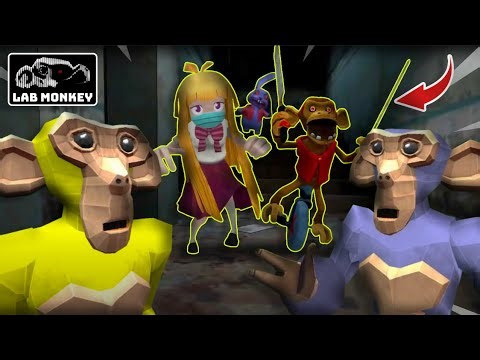 The lab monkey is SO TERRIFYING…