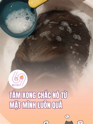 Tắm xong chắc nó từ mặt mình luôn quá #dcgr #dcgroup #dcmedia #69spet #pet #cat #meow #cutecat