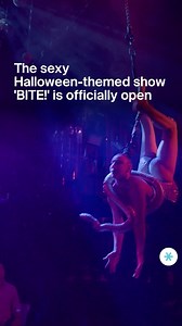 [LINK IN BIO] Chicago, are you ready to get bitten?🦇 AirOtic Soirée returns with BITE!, a darkly decadent Halloween cirque-cabaret where sultry vampires, seductive spirits, and daring acrobats lure you into their world. 🍸 Sip on cocktails, catch pop-up performances before the show, then dive into a night of danger, desire, and devilish delight. This is a limited run, so don’t miss it! Head to our link in bio for tickets. #smn | Secret Chicago