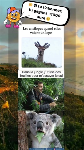 Abonne toi, la gaufre te surveille 👀🧇 #memes #drole