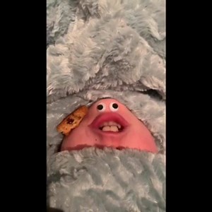 A film by Ben Travolta “Too Many Cookies” | John Travolta