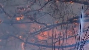 The death count from central Chile's blazing wildfires jumped to at least 99 people on Sunday, after President Gabriel Boric warned the number would rise "significantly" as teams search destroyed neighborhoods. Responders continued to battle fires in the coastal tourist region of Valparaiso amid an intense summer heat wave, with temperatures soaring to 40 degrees Celsius (104 degrees Fahrenheit) over the weekend. #ChileWildfires | NDTV