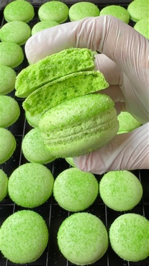 Green French Macaron Texture ✨