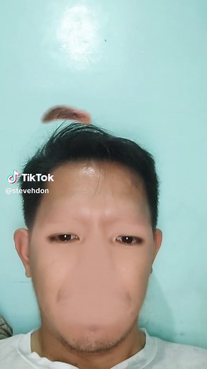 steveHdon on TikTok
