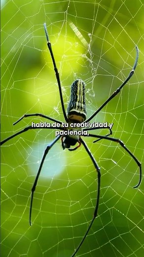 ¿Qué significa SOÑAR con ARAÑAS? 🕷️💤🕸️ #SignificadoSueños #Shorts