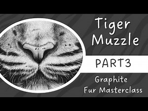 How to Draw Realistic Tiger Muzzle Fur - Graphite Masterclass Part 3