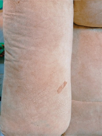 From dusty to deeply refreshned . Because a clean sofa is more than just a good looking sofa. #Tasocleaningsolutions