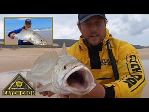 Kob fishing in South Africa, best size fish for eating [catch cook]