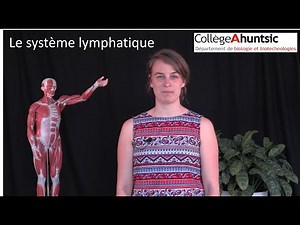 Le système lymphatique